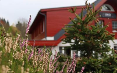 Wellness a relaxační pobyty nabízíme i dovolené pro seniory